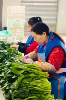 汝州食品加工配送